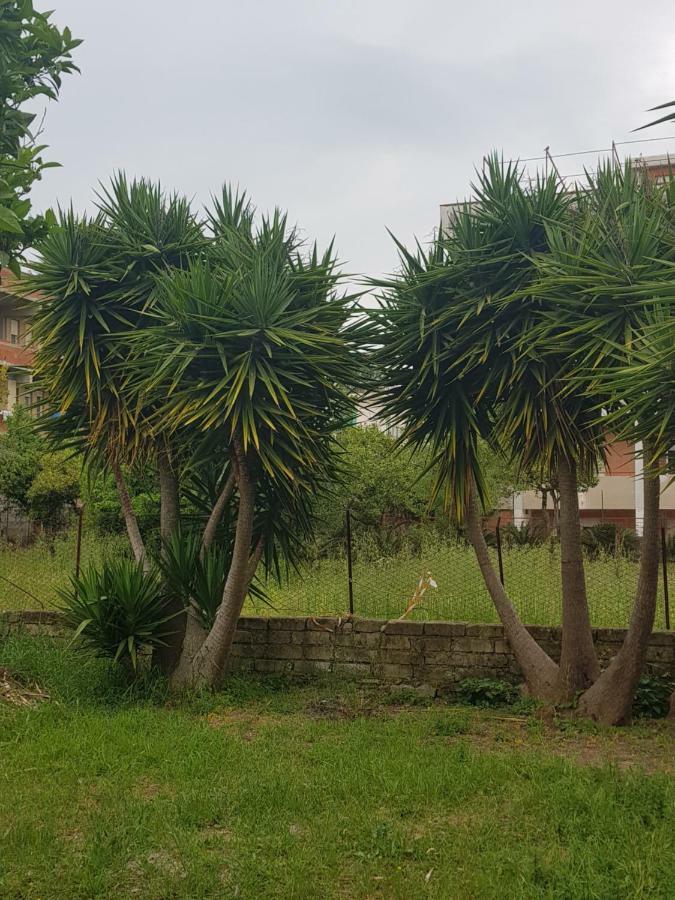 Villa "Il Nespolo" Scauri  Exterior foto