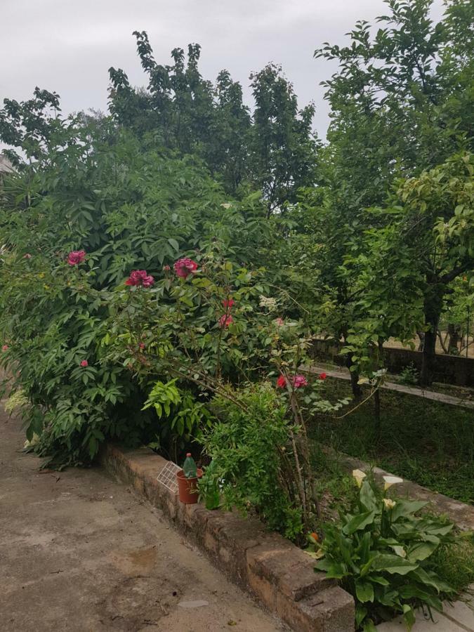 Villa "Il Nespolo" Scauri  Exterior foto